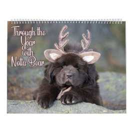 Notta Bear door het jaar Kalender