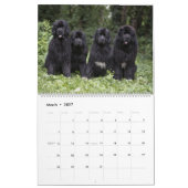 Notta Bear door het jaar Kalender (Mar 2027)