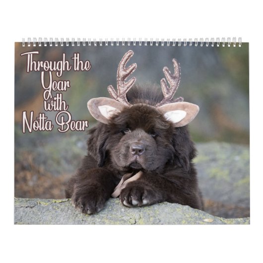 Notta Bear door het jaar Kalender (Hoes)