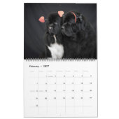 Notta Bear Foto Favorieten Kalender (Feb 2027)