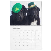 Notta Bear Foto Favorieten Kalender (Mar 2027)