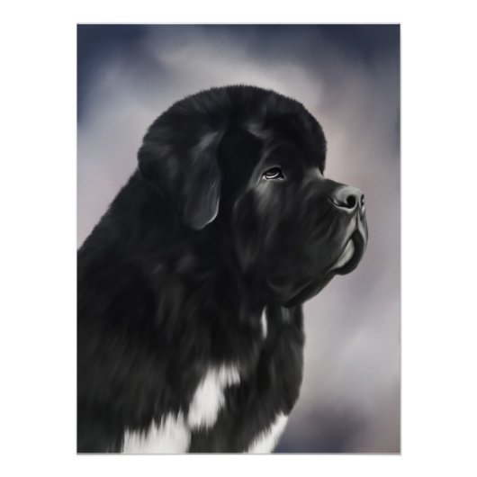 Notta Bear Landseer Newfoundland Poster (Voorkant)