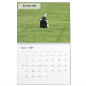 Notta Bear Newfoundlanders Humor Kalender (Mar 2027)