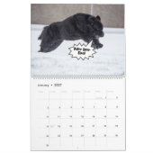 Notta Bear Newfoundlanders Humor Kalender (Jan 2027)