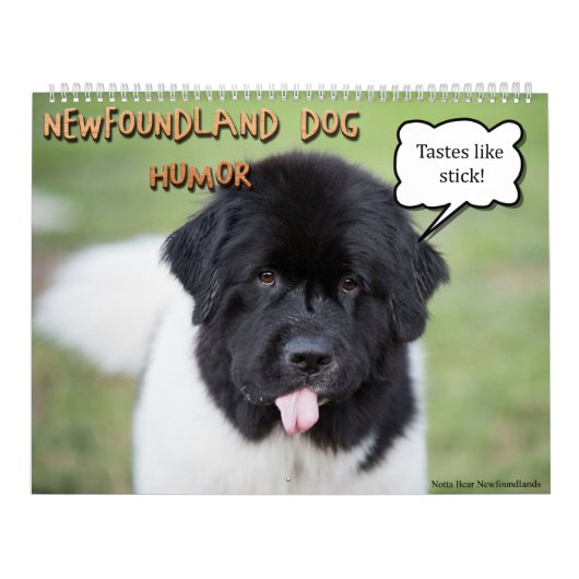 Notta Bear Newfoundlanders Humor Kalender (Hoes)