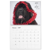 Notta Bear Newfoundlanders Verzen Kalender (Feb 2027)