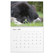 Notta Bear Newfoundlanders Verzen Kalender (Mar 2027)