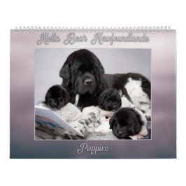 Notta Bear Newfoundlands Jaar van Puppies Kalender