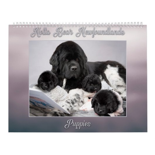 Notta Bear Newfoundlands Jaar van Puppies Kalender (Hoes)