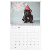Notta Bear Newfoundlands Meer Puppies Kalender (Jan 2027)