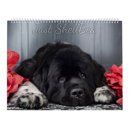 Notta Bear Newfoundlands ShellBea Kalender (Hoes)