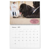 Notta Bear Newfoundlands Therapiehonden Kalender (Feb 2027)