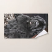 Notta Bear Stump King Kwijl Handdoek (Handdoek)