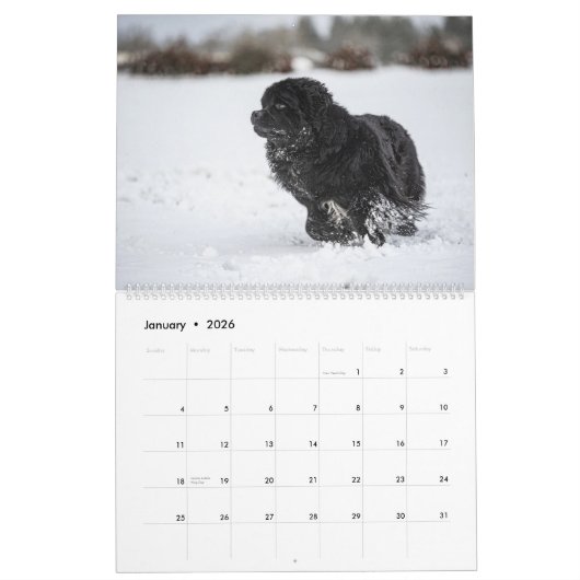 Notta Bear Through The Year Kalender (Jan 2026)