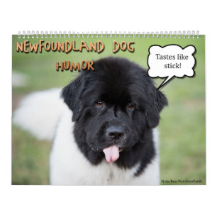 Notta Beer Newfoundlands Humor Kalender