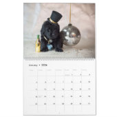 Notta Beer Newfoundlands Jaar van de Puppies Kalender (Jan 2026)