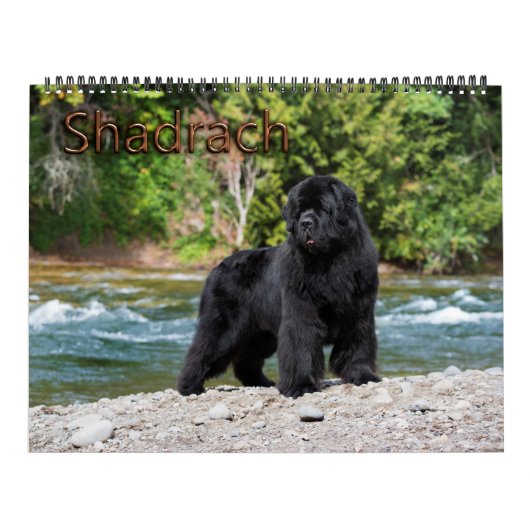 Notta Beer Newfoundlands Jaar van Shadrach Kalender (Hoes)