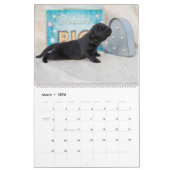 Notta Beer Newfoundlands Meer Puppies Kalender (Mar 2026)