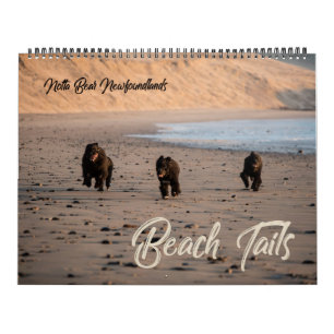 Notta Beer Newfoundlands Oregon Beach Calendar Kalender