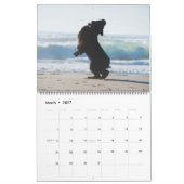 Notta Beer Newfoundlands Oregon Strandkalender Kalender (Mar 2027)