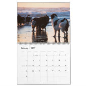 Notta Beer Newfoundlands Oregon Strandkalender Kalender (Feb 2027)
