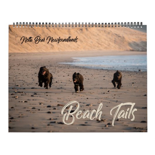 Notta Beer Newfoundlands Oregon Strandkalender Kalender (Hoes)