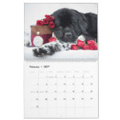 Notta Beer Newfoundlands ShellBea Kalender (Feb 2027)