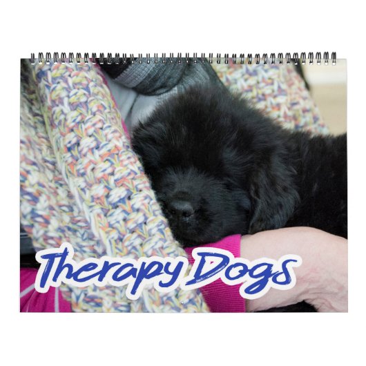 Notta Beer Newfoundlands Therapiehonden Kalender (Hoes)
