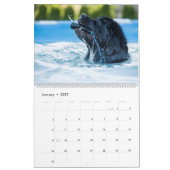 Notta Beer Newfoundlands Zwembadkalender Kalender (Jan 2027)