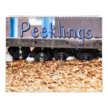 Notta Beer Peeklings Kalender