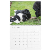 Notta Beer Peeklings Kalender (Mar 2027)