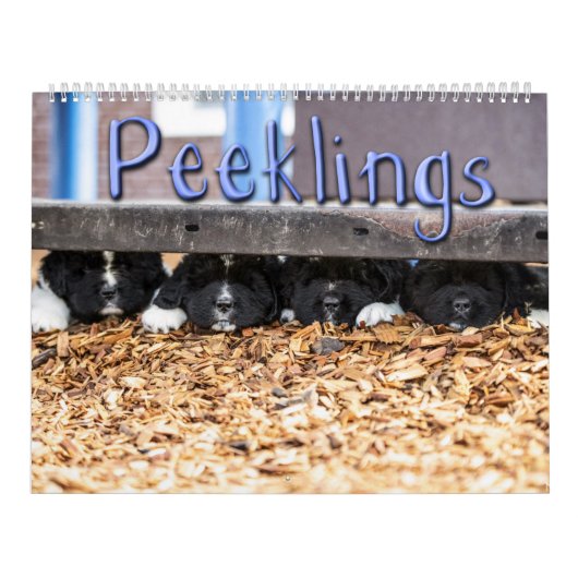 Notta Beer Peeklings Kalender (Hoes)