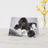 Notta Beer Puppy Wenskaart Kaart (Gele Bloem)