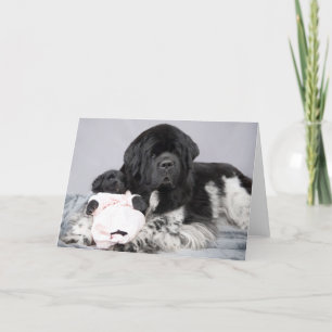 Notta draagt Welkome Kaart