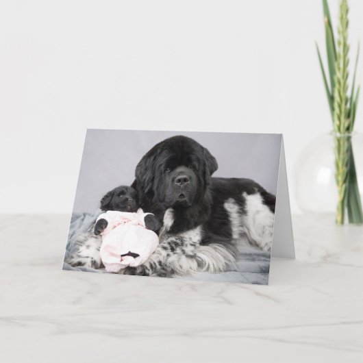 Notta draagt Welkome Kaart (Voorkant)