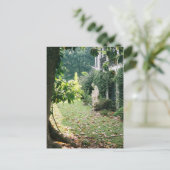 Nottoway Plantation Briefkaart (Staand voorkant)