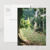 Nottoway Plantation Briefkaart (Voorkant / Achterkant)