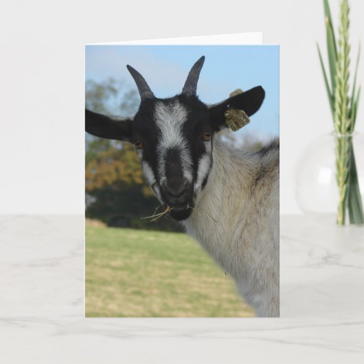 Nou Hallo daar Kaart (Voorkant)