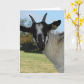 Nou Hallo daar Kaart (Gele Bloem)