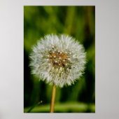 Nou, laat me maar. poster (Voorkant)