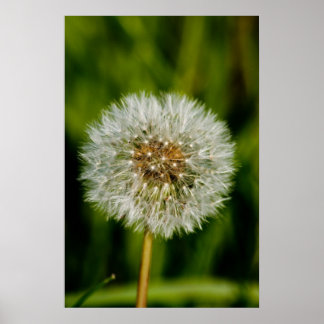 Nou, laat me maar. poster