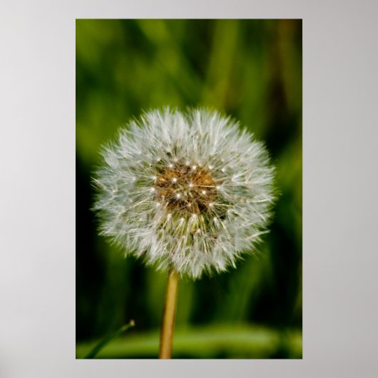 Nou, laat me maar. poster (Voorkant)