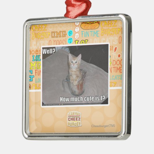 Nou? Metalen Ornament (Links)