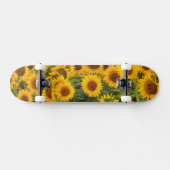 Nou, VS, Colorado, Zonnebloemen Skateboard (Horizontaal)