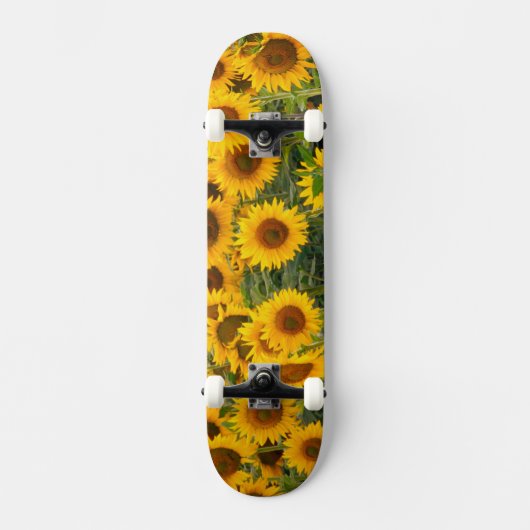 Nou, VS, Colorado, Zonnebloemen Skateboard (Voorkant)