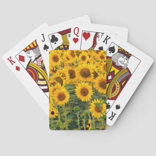 Nou, VS, Colorado, Zonnebloemen Speelkaarten (Achterkant)
