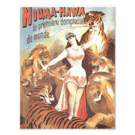 Nouma Hawa's fluistert naar tijgers Foto Afdruk