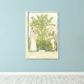 Nouv Acq Lat Celery uit "Tacuinum Sanitatis" Canvas Afdruk (Insitu (Houten vloer))