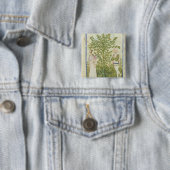 Nouv Acq Lat Celery uit "Tacuinum Sanitatis" Vierkante Button 5,1 Cm (In situ)