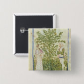 Nouv Acq Lat Celery uit "Tacuinum Sanitatis" Vierkante Button 5,1 Cm (Voorkant /achterkant)